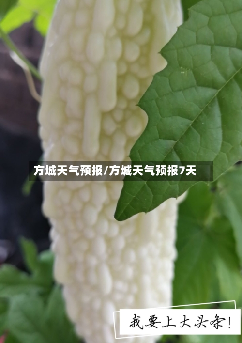方城天气预报/方城天气预报7天-第1张图片