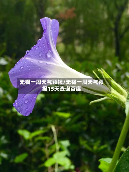 无锡一周天气预报/无锡一周天气预报15天查询百度-第1张图片