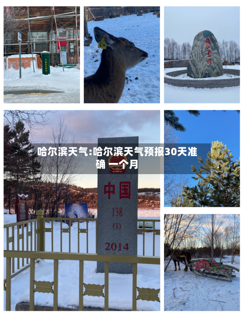 哈尔滨天气:哈尔滨天气预报30天准确 一个月-第1张图片