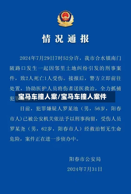 宝马车撞人案/宝马车撞人案件-第1张图片