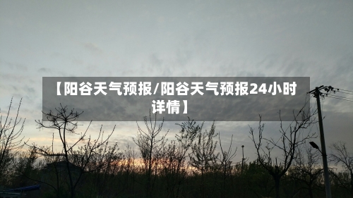 【阳谷天气预报/阳谷天气预报24小时详情】-第1张图片