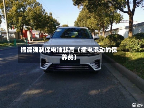 插混强制保电油耗高（插电混动的保养费）-第1张图片