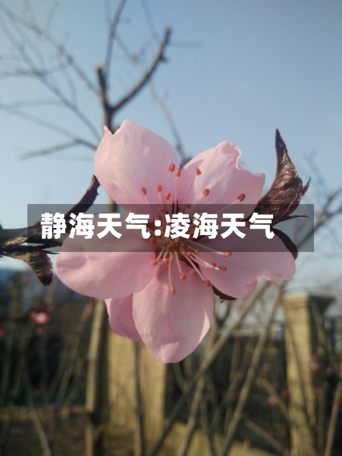 静海天气:凌海天气-第1张图片
