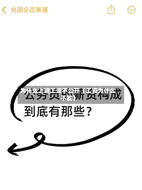 为什么上班工资不公开（工资为什么不发）-第1张图片