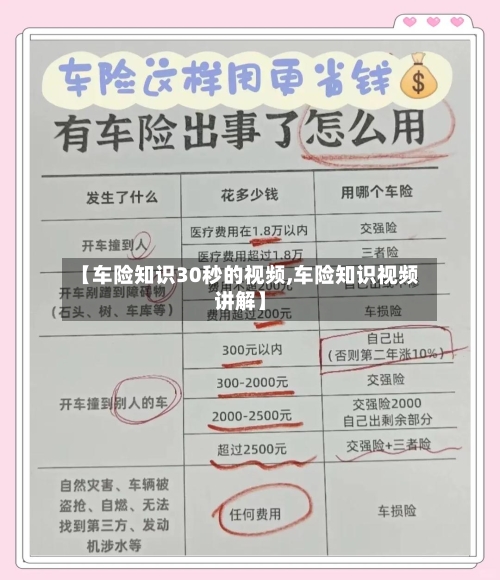 【车险知识30秒的视频,车险知识视频讲解】-第1张图片