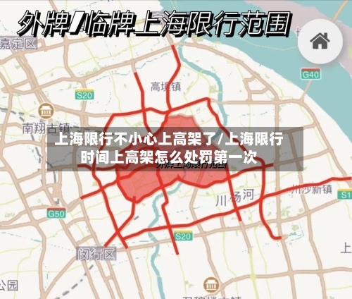 上海限行不小心上高架了/上海限行时间上高架怎么处罚第一次-第1张图片