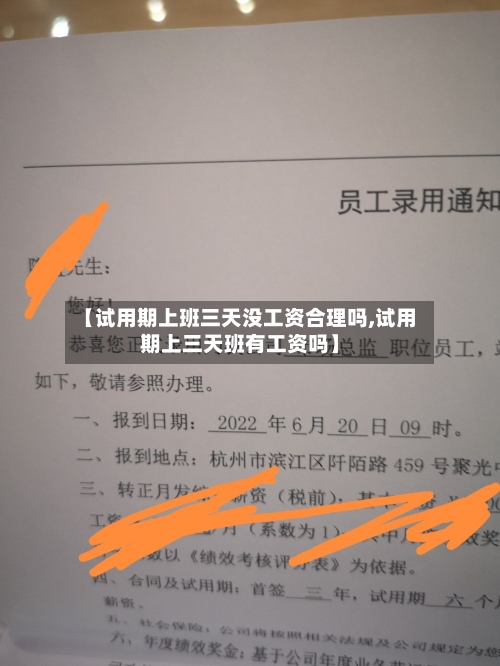 【试用期上班三天没工资合理吗,试用期上三天班有工资吗】-第1张图片