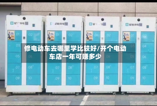修电动车去哪里学比较好/开个电动车店一年可赚多少-第1张图片