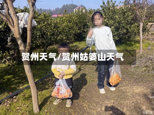 贺州天气/贺州姑婆山天气-第1张图片