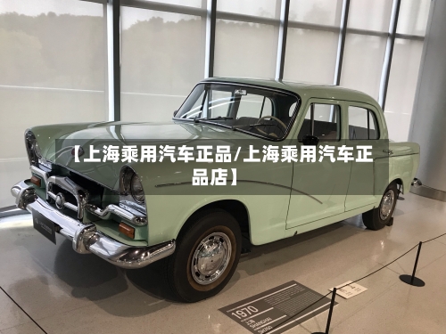 【上海乘用汽车正品/上海乘用汽车正品店】-第1张图片