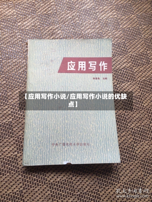 【应用写作小说/应用写作小说的优缺点】-第1张图片