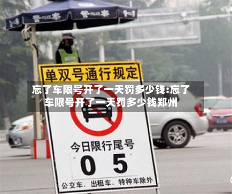 忘了车限号开了一天罚多少钱:忘了车限号开了一天罚多少钱郑州-第1张图片