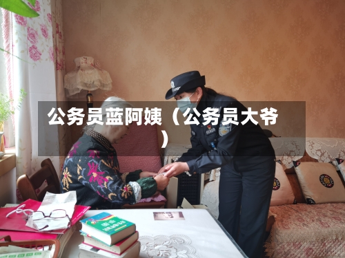 公务员蓝阿姨（公务员大爷）-第1张图片