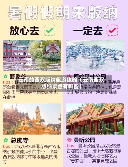 云南的西双版纳旅游攻略（云南西双版纳景点有哪些）-第1张图片