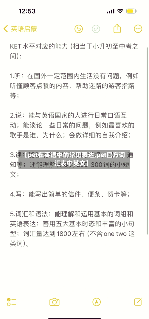 【pet在英语中的常见表达,pet官方词汇表中英文】-第1张图片