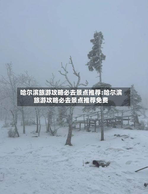 哈尔滨旅游攻略必去景点推荐:哈尔滨旅游攻略必去景点推荐免费-第1张图片
