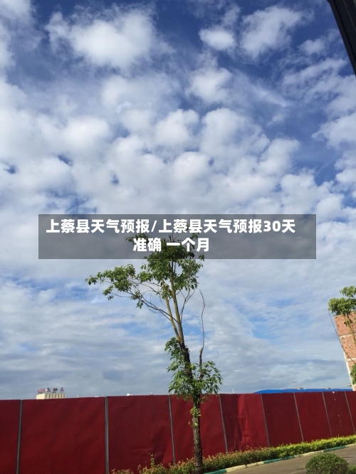 上蔡县天气预报/上蔡县天气预报30天准确 一个月-第1张图片