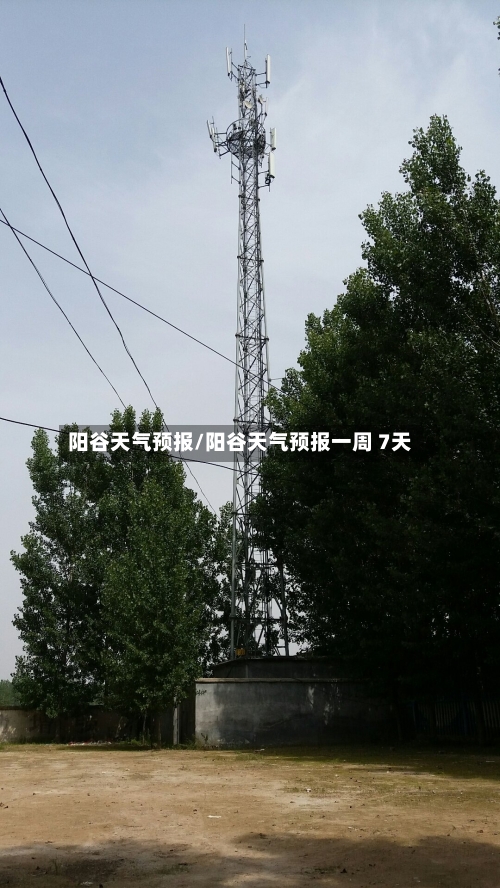 阳谷天气预报/阳谷天气预报一周 7天-第1张图片