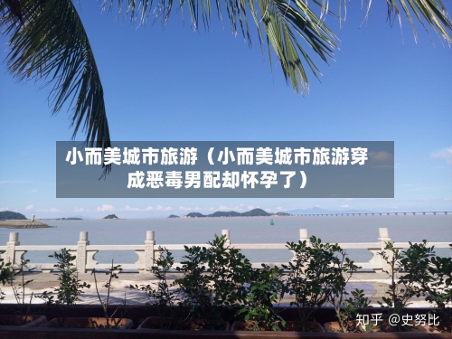 小而美城市旅游(小而美城市旅游穿成恶毒男配却怀孕了)-第1张图片