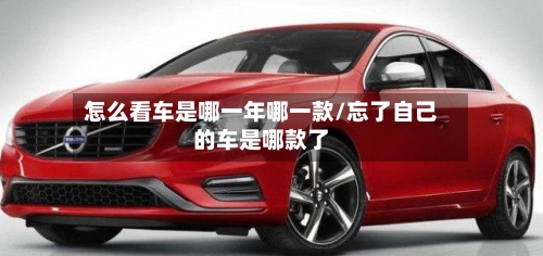 怎么看车是哪一年哪一款/忘了自己的车是哪款了-第1张图片