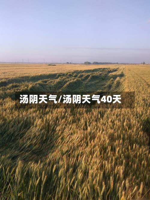 汤阴天气/汤阴天气40天-第1张图片