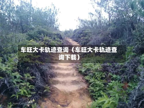 车旺大卡轨迹查询（车旺大卡轨迹查询下载）-第1张图片