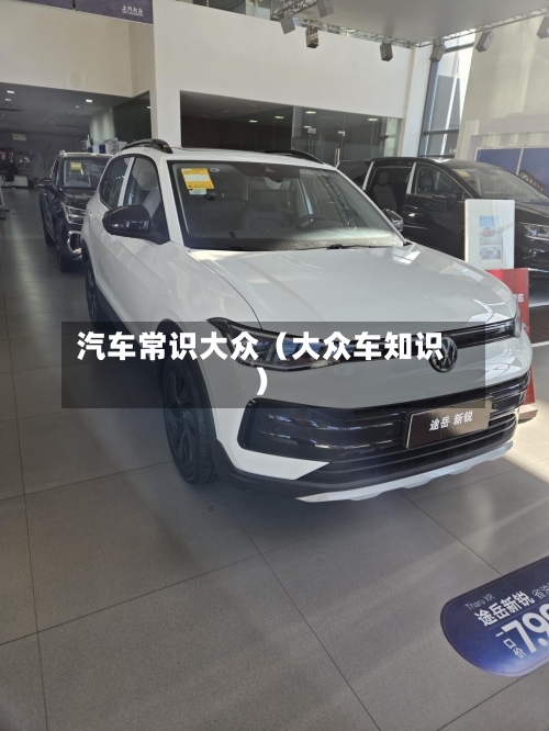 汽车常识大众(大众车知识)-第1张图片