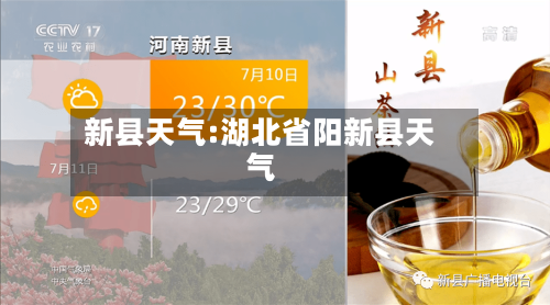 新县天气:湖北省阳新县天气-第1张图片