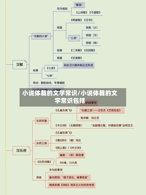 小说体裁的文学常识/小说体裁的文学常识包括-第1张图片