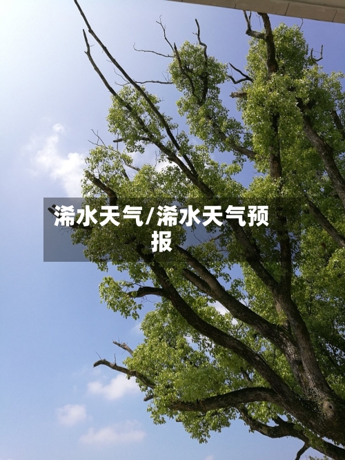 浠水天气/浠水天气预报-第1张图片