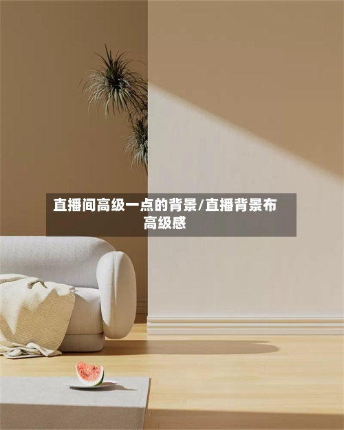 直播间高级一点的背景/直播背景布高级感-第1张图片
