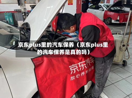 京东plus里的汽车保养(京东plus里的汽车保养是真的吗)-第1张图片