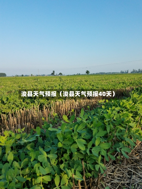 浚县天气预报（浚县天气预报40天）-第1张图片