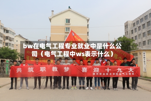 bw在电气工程专业就业中是什么公司（电气工程中ws表示什么）-第1张图片