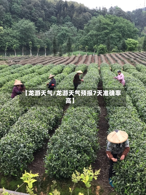 【龙游天气/龙游天气预报7天准确率高】-第1张图片
