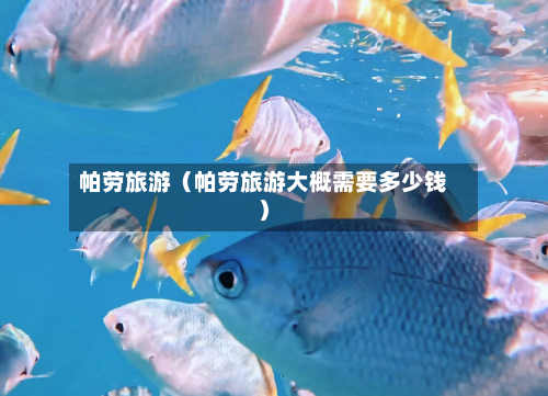 帕劳旅游(帕劳旅游大概需要多少钱)-第1张图片
