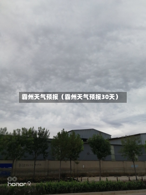 霸州天气预报（霸州天气预报30天）-第1张图片