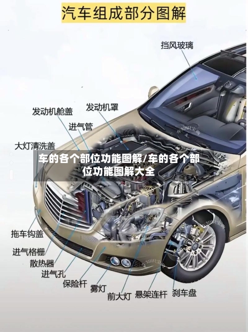 车的各个部位功能图解/车的各个部位功能图解大全-第1张图片