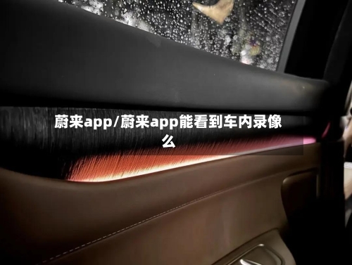 蔚来app/蔚来app能看到车内录像么-第1张图片