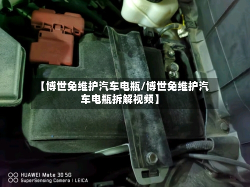 【博世免维护汽车电瓶/博世免维护汽车电瓶拆解视频】-第1张图片