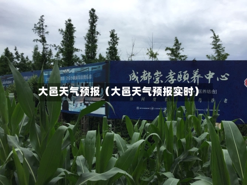 大邑天气预报（大邑天气预报实时）-第1张图片