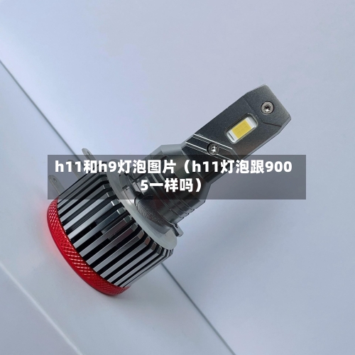 h11和h9灯泡图片（h11灯泡跟9005一样吗）-第1张图片