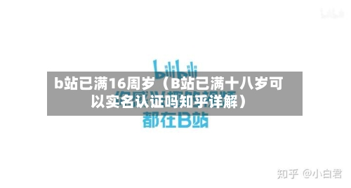 b站已满16周岁（B站已满十八岁可以实名认证吗知乎详解）-第1张图片