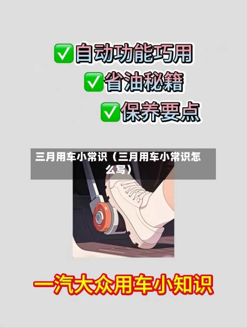 三月用车小常识(三月用车小常识怎么写)-第1张图片