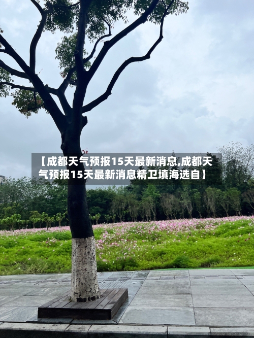 【成都天气预报15天最新消息,成都天气预报15天最新消息精卫填海选自】-第1张图片