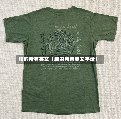 胸的所有英文（胸的所有英文字母）-第1张图片