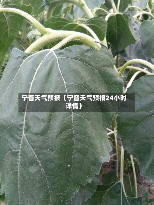 宁晋天气预报（宁晋天气预报24小时详情）-第1张图片