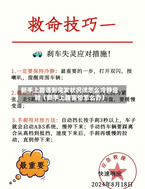 新手上路遇到突发状况该怎么冷静应对(新手上路害怕怎么办)-第1张图片
