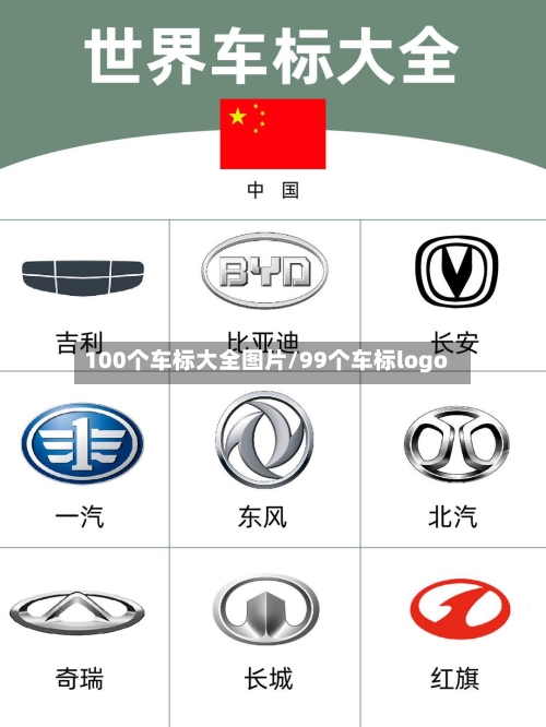 100个车标大全图片/99个车标logo-第1张图片