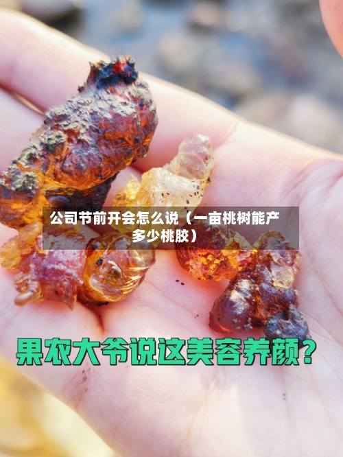 公司节前开会怎么说（一亩桃树能产多少桃胶）-第1张图片